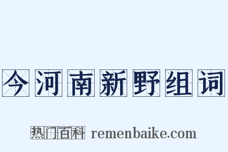 今河南新野组词是什么意思的图片